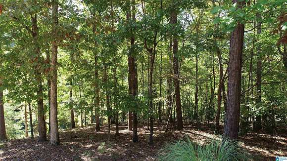 1.1 Acres of Land for Sale in Wedowee, Alabama