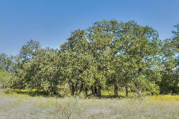 32 Acres of Recreational Land for Sale in Coleman, Texas