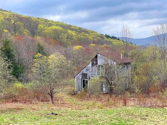 3 Acres of Improved Residential Land for Sale in Hardenburgh Town, New York