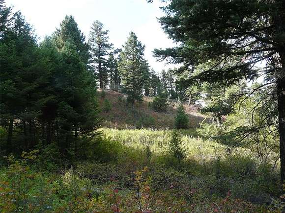 29.09 Acres of Land for Sale in Livingston, Montana