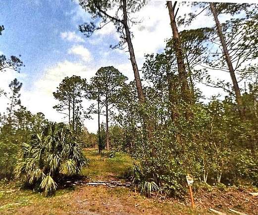 10.29 Acres of Land for Sale in Pierson, Florida