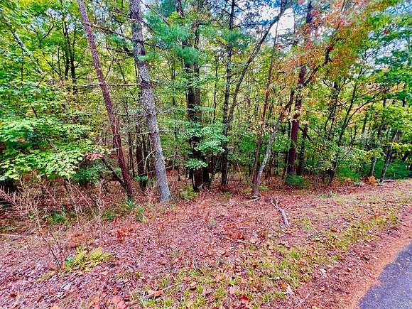 1.09 Acres of Land for Sale in Ellijay, Georgia