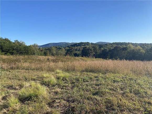 18 Acres of Land for Sale in Rydal, Georgia