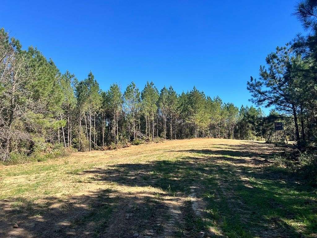 83 Acres of Recreational Land & Farm for Sale in Crosby, Mississippi