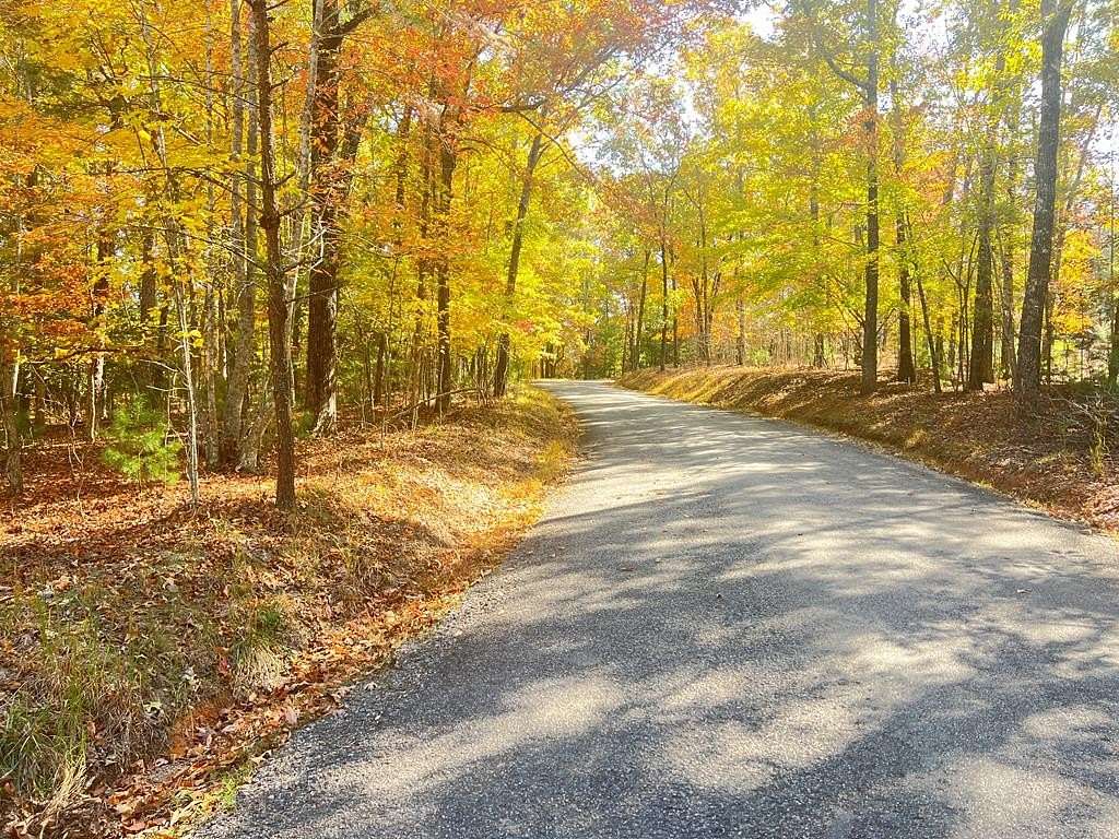 3 Acres of Land for Sale in Mineral Bluff, Georgia