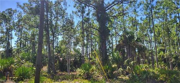 0.25 Acres of Residential Land for Sale in Punta Gorda, Florida