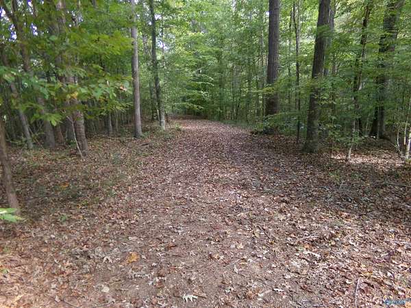 3 Acres of Land for Sale in Gadsden, Alabama