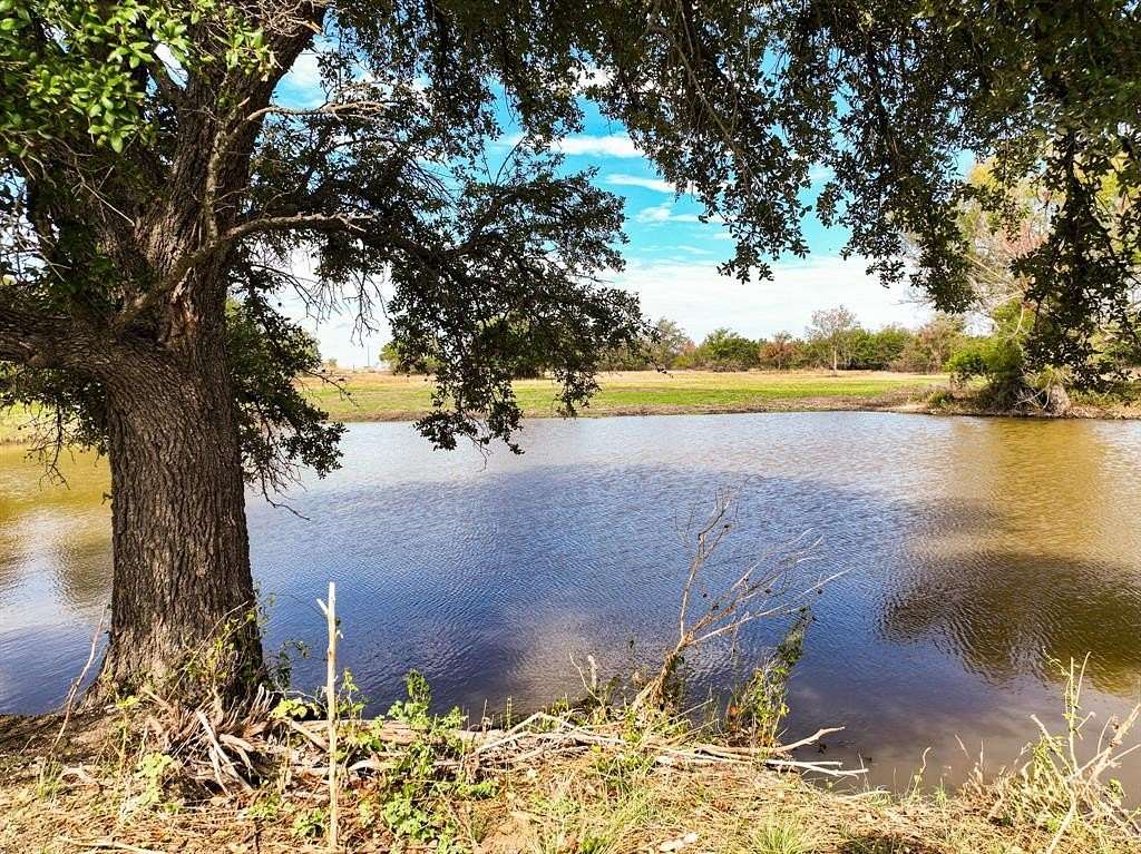 53 Acres of Agricultural Land for Sale in Goldthwaite, Texas