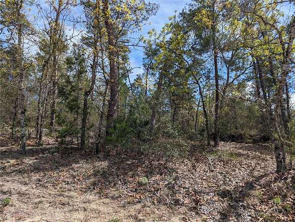 0.28 Acres of Residential Land for Sale in Homosassa, Florida