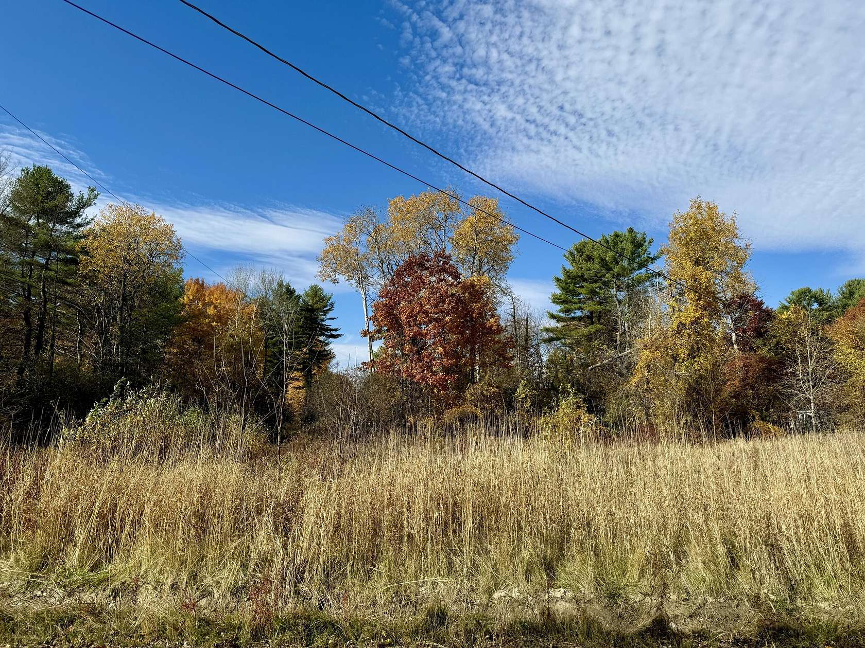 0.42 Acres of Residential Land for Sale in Willsboro, New York