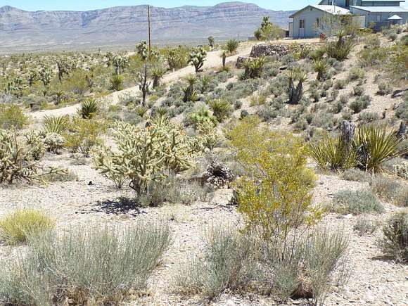 1 Acre of Residential Land for Sale in Meadview, Arizona