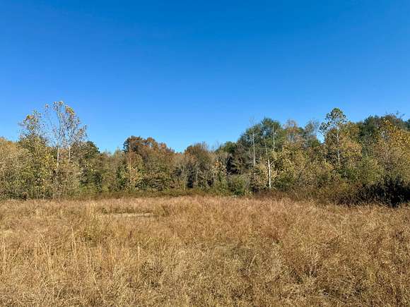 142 Acres of Recreational Land for Sale in Hartman, Arkansas