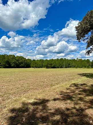 335 Acres of Recreational Land for Sale in Andalusia, Alabama