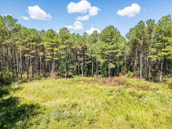 35 Acres of Land for Sale in Starkville, Mississippi