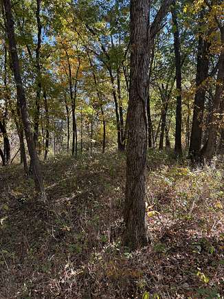 220 Acres of Recreational Land & Farm for Sale in Purdin, Missouri