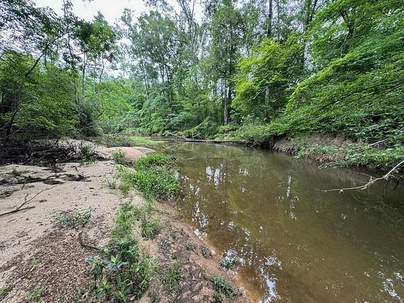 16.14 Acres of Recreational Land & Farm for Sale in Magnolia, Mississippi