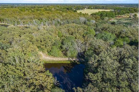 19 Acres of Recreational Land for Sale in Edgewood, Texas