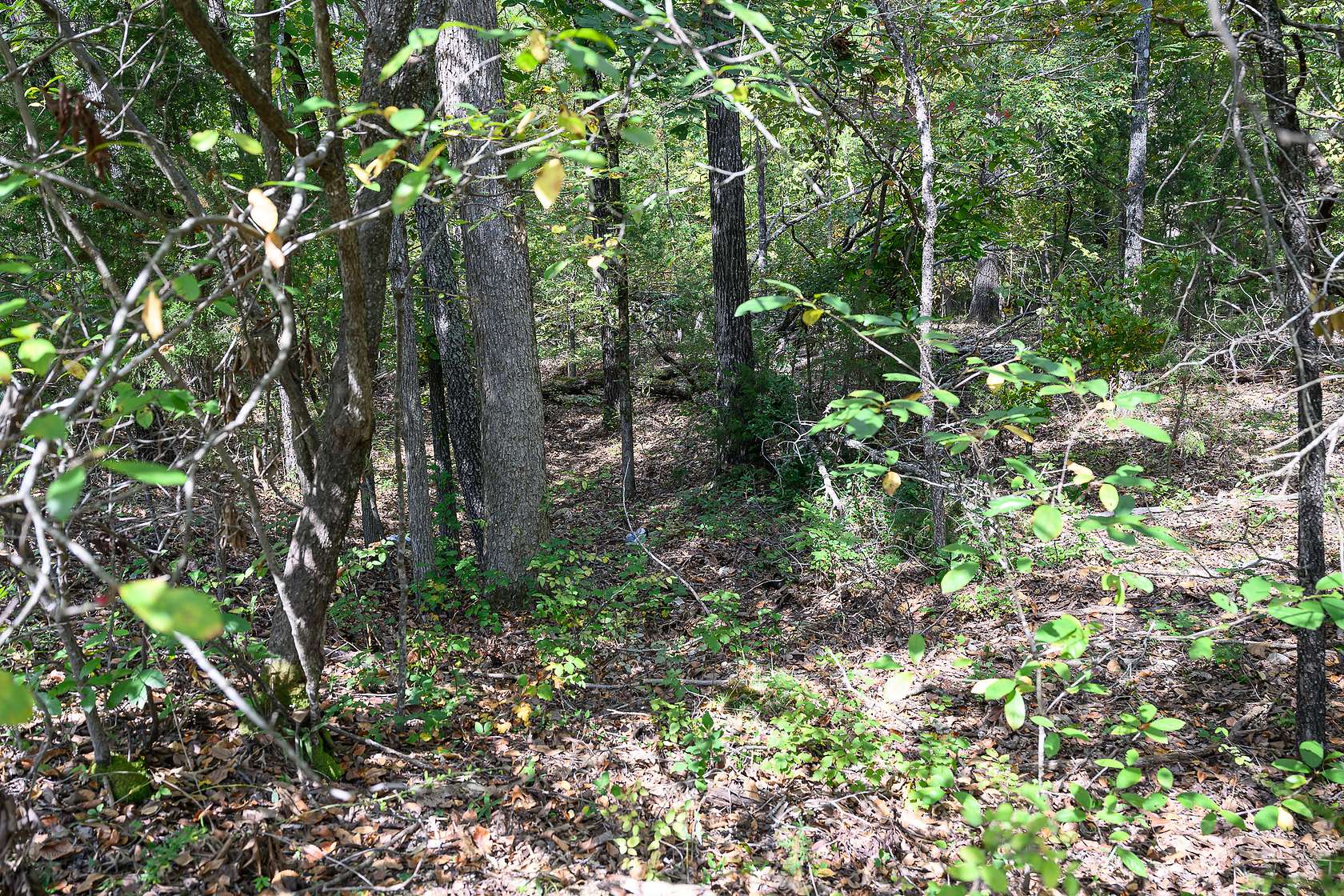 0.34 Acres of Residential Land for Sale in Horseshoe Bend, Arkansas