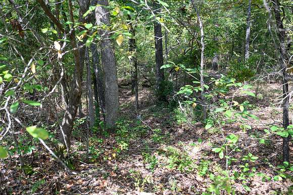 0.34 Acres of Residential Land for Sale in Horseshoe Bend, Arkansas