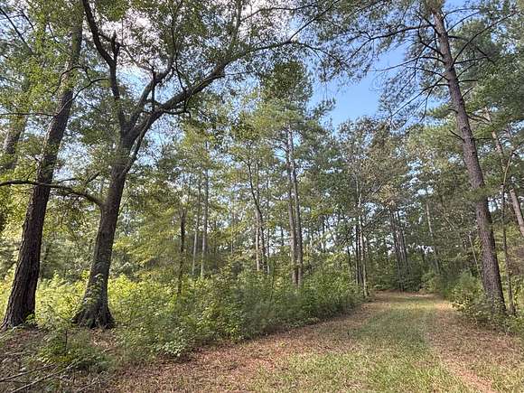 210 Acres of Recreational Land for Sale in Cross, South Carolina