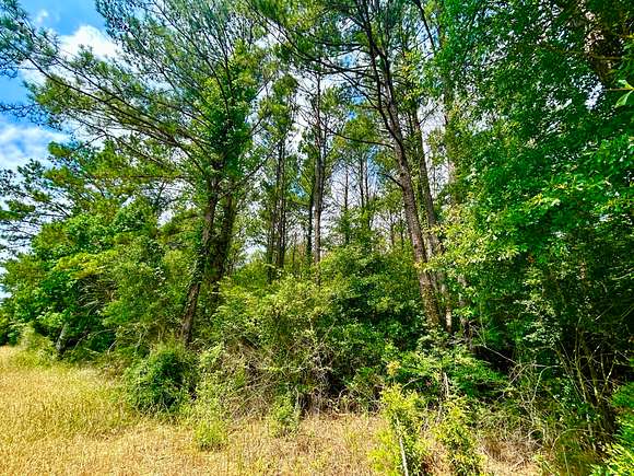 2.5 Acres of Residential Land for Sale in Magnolia, Mississippi