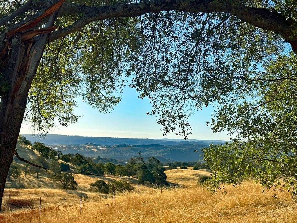 56.8 Acres of Agricultural Land for Sale in Shingle Springs, California