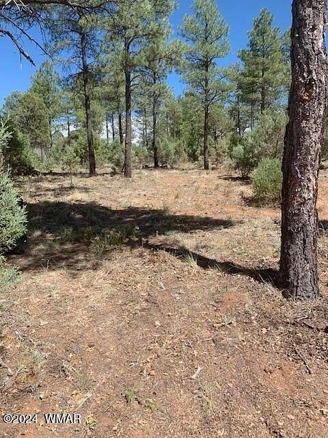 0.23 Acres of Residential Land for Sale in Show Low, Arizona