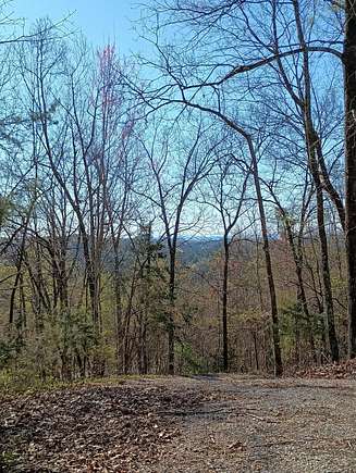 39.78 Acres of Land for Sale in Sale Creek, Tennessee