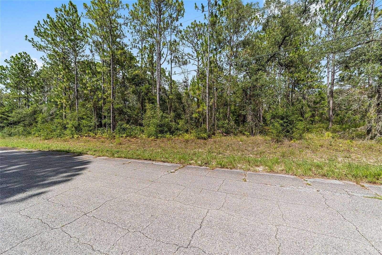 1.12 Acres of Residential Land for Sale in Citrus Springs, Florida