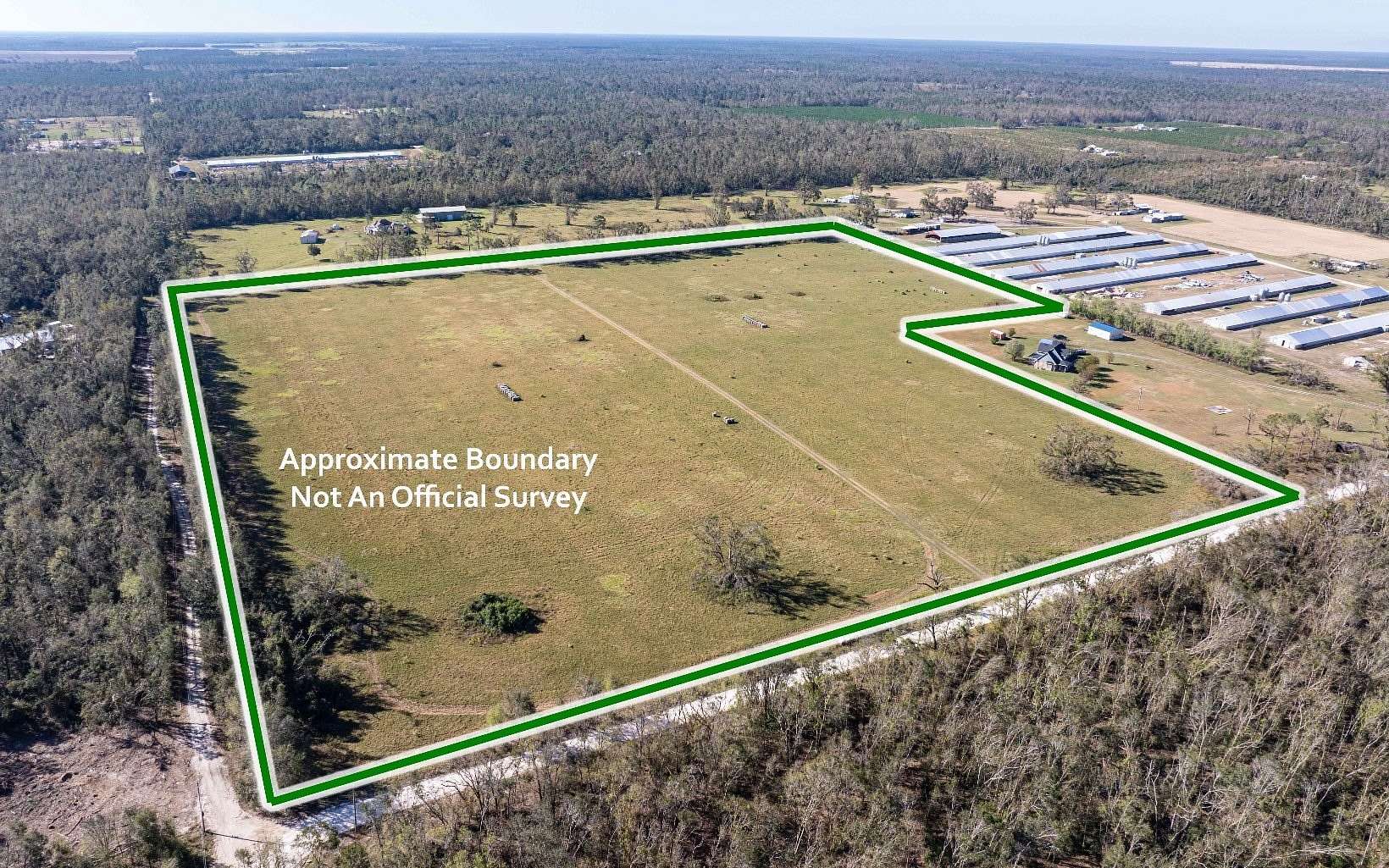 33.8 Acres of Agricultural Land for Sale in Live Oak, Florida