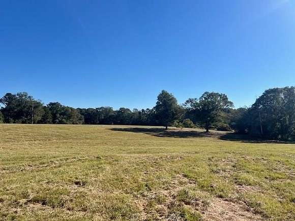 17.48 Acres of Land for Sale in Tylertown, Mississippi