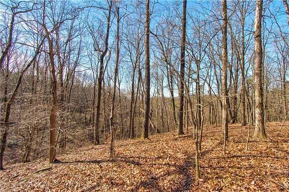 13.22 Acres of Land for Sale in Dahlonega, Georgia