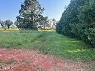 0.56 Acres of Residential Land for Sale in Hawkinsville, Georgia