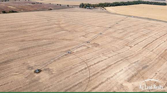 157.09 Acres of Agricultural Land for Auction in Plainview, Nebraska