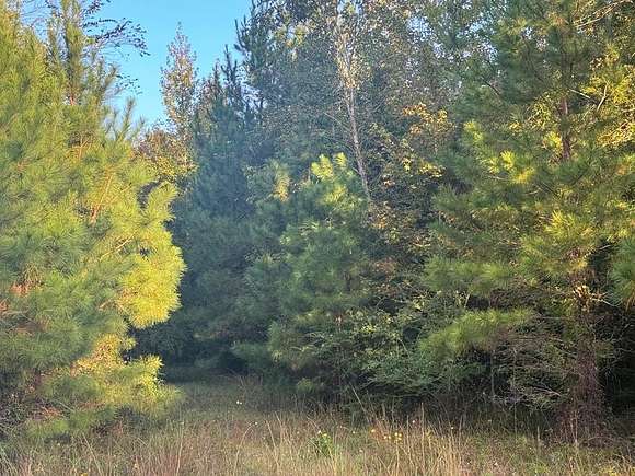 10 Acres of Residential Land for Sale in Jack, Alabama