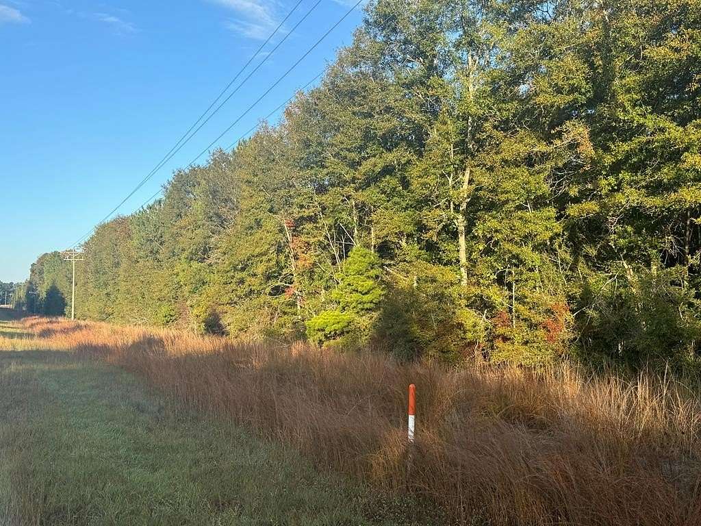 3 Acres of Residential Land for Sale in Jack, Alabama