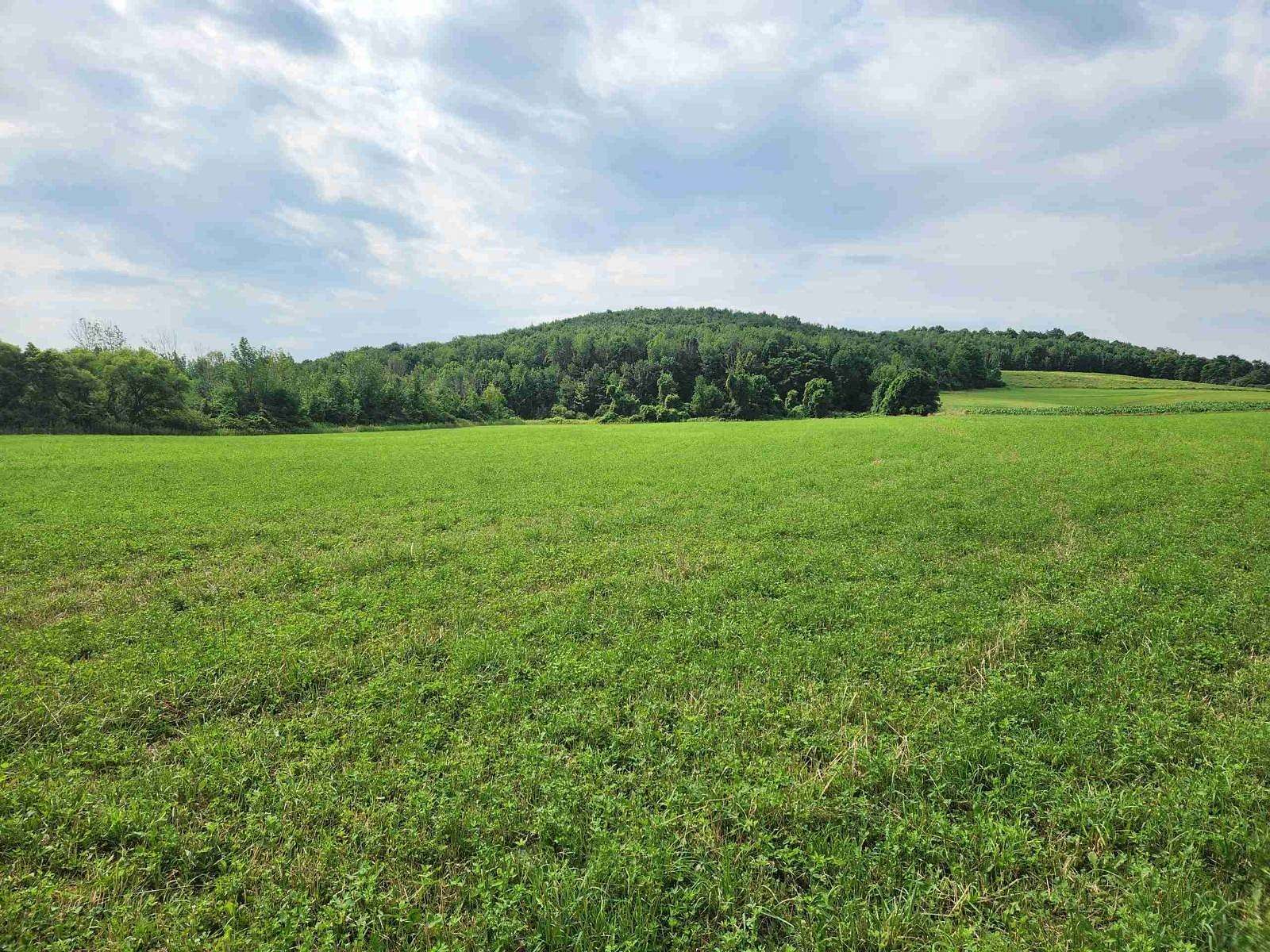 142 Acres of Agricultural Land for Sale in Smithfield Town, New York