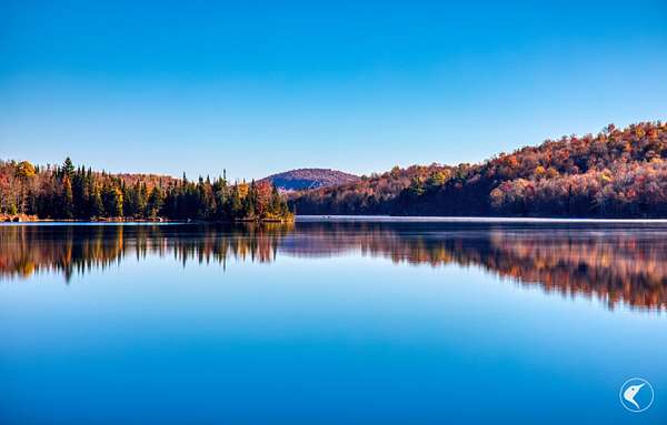 3,190 Acres of Recreational Land for Sale in Star Lake, New York