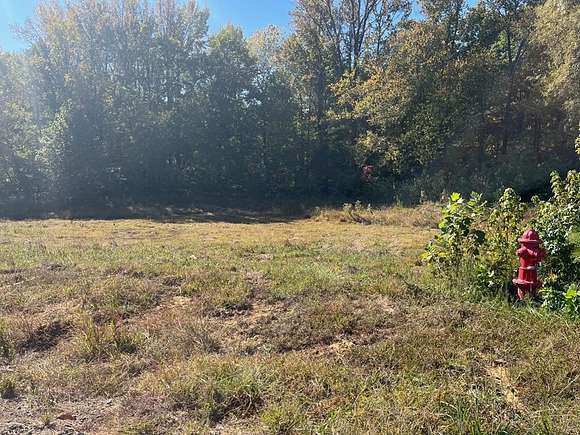 0.91 Acres of Residential Land for Sale in Paris, Tennessee