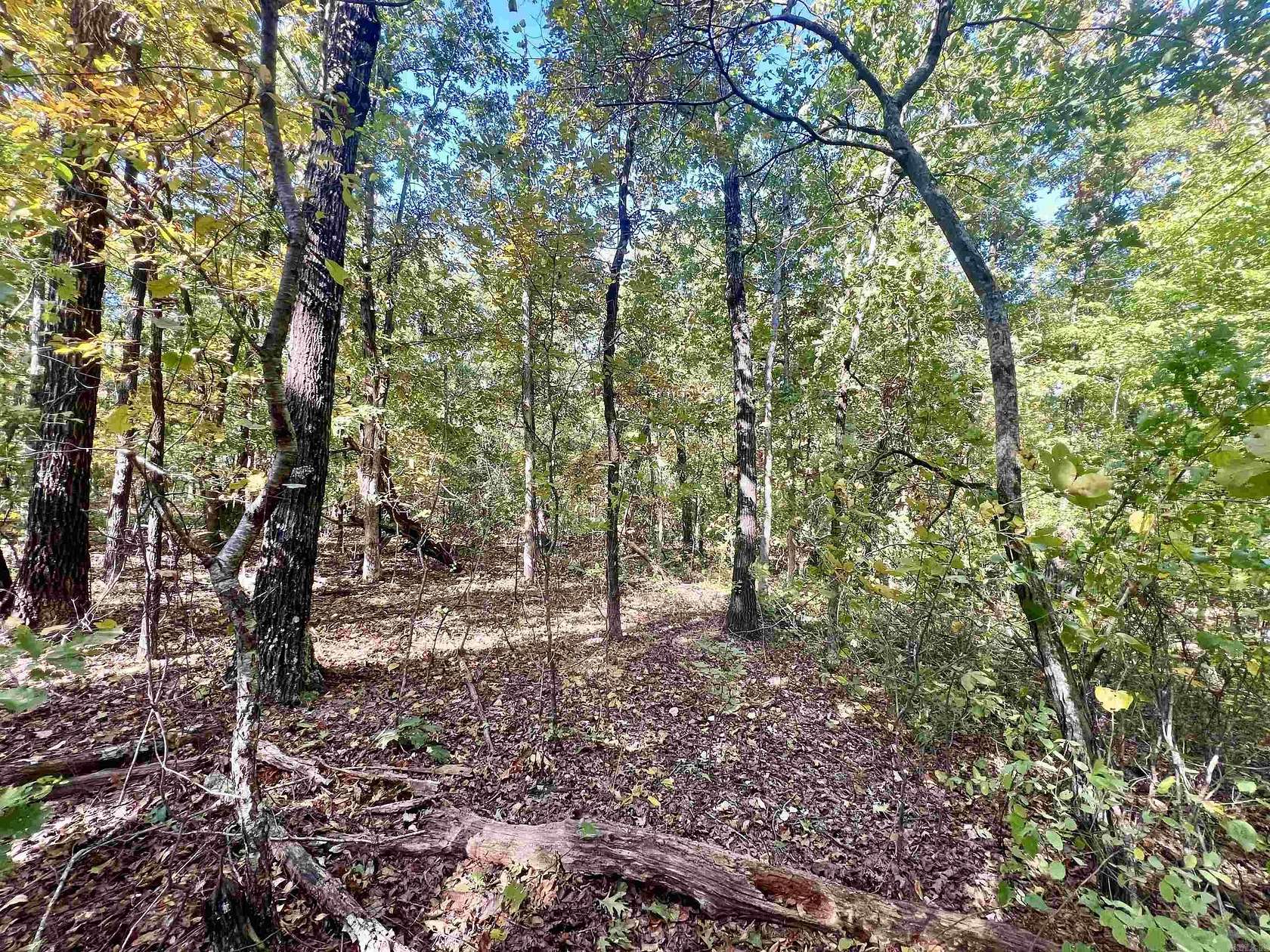 20 Acres of Recreational Land for Sale in Mountain View, Arkansas