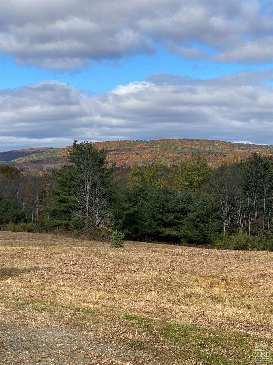 7 Acres of Land for Sale in Durham, New York