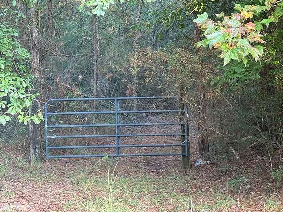 3 Acres of Residential Land for Sale in Jack, Alabama