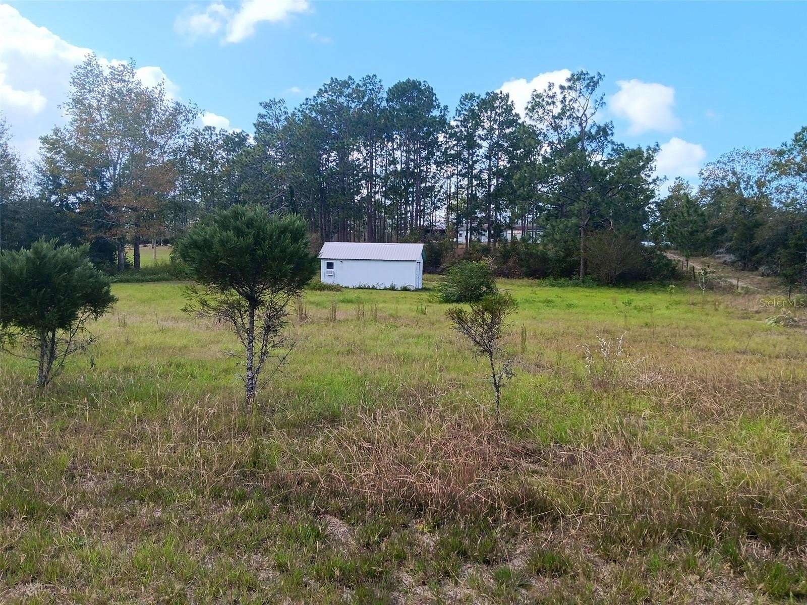 1 Acre of Residential Land for Sale in Morriston, Florida