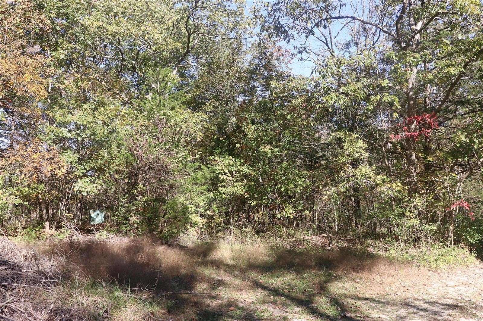 0.225 Acres of Residential Land for Sale in Hillsboro, Missouri