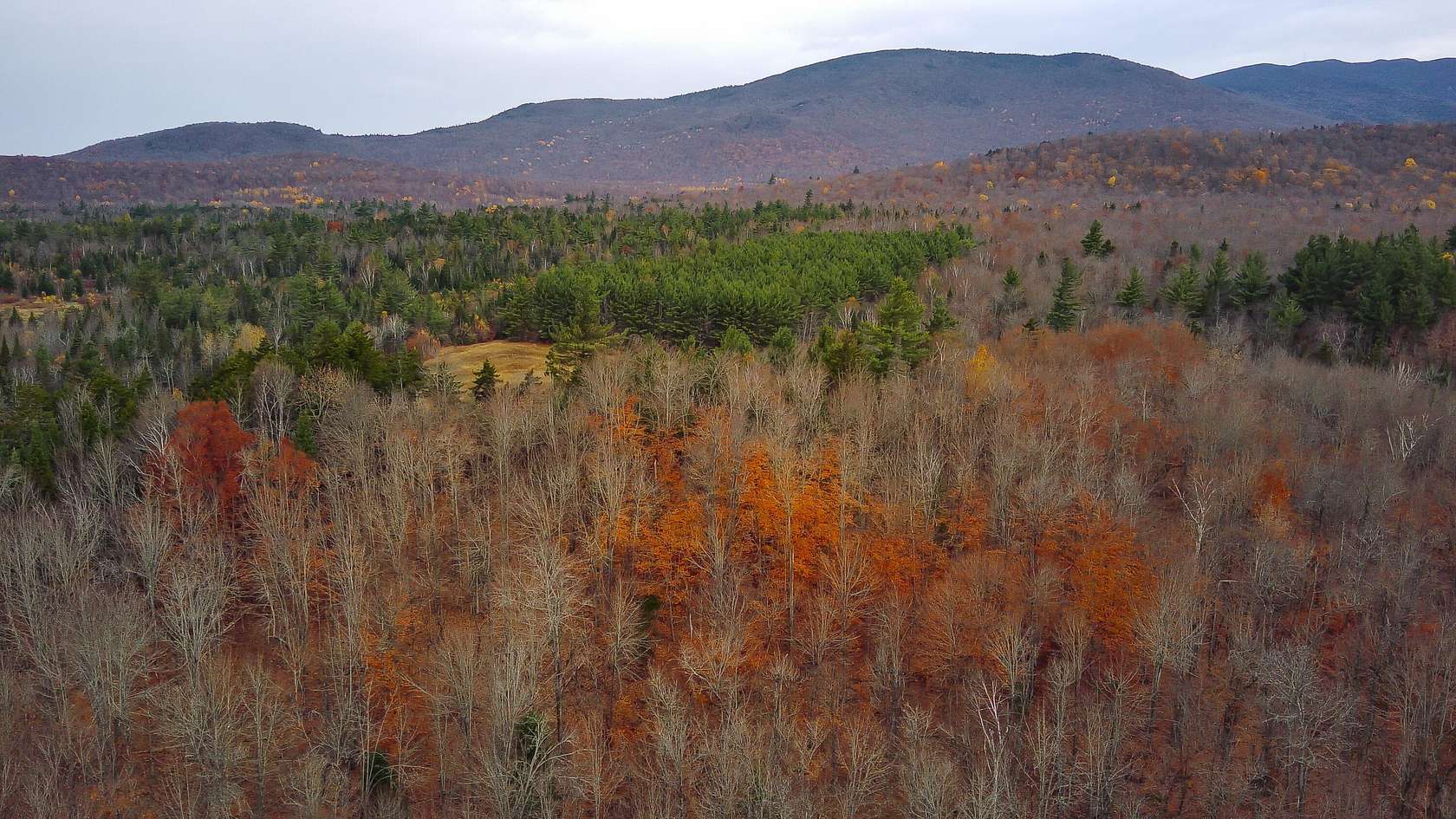 52 Acres of Recreational Land for Sale in Saranac, New York