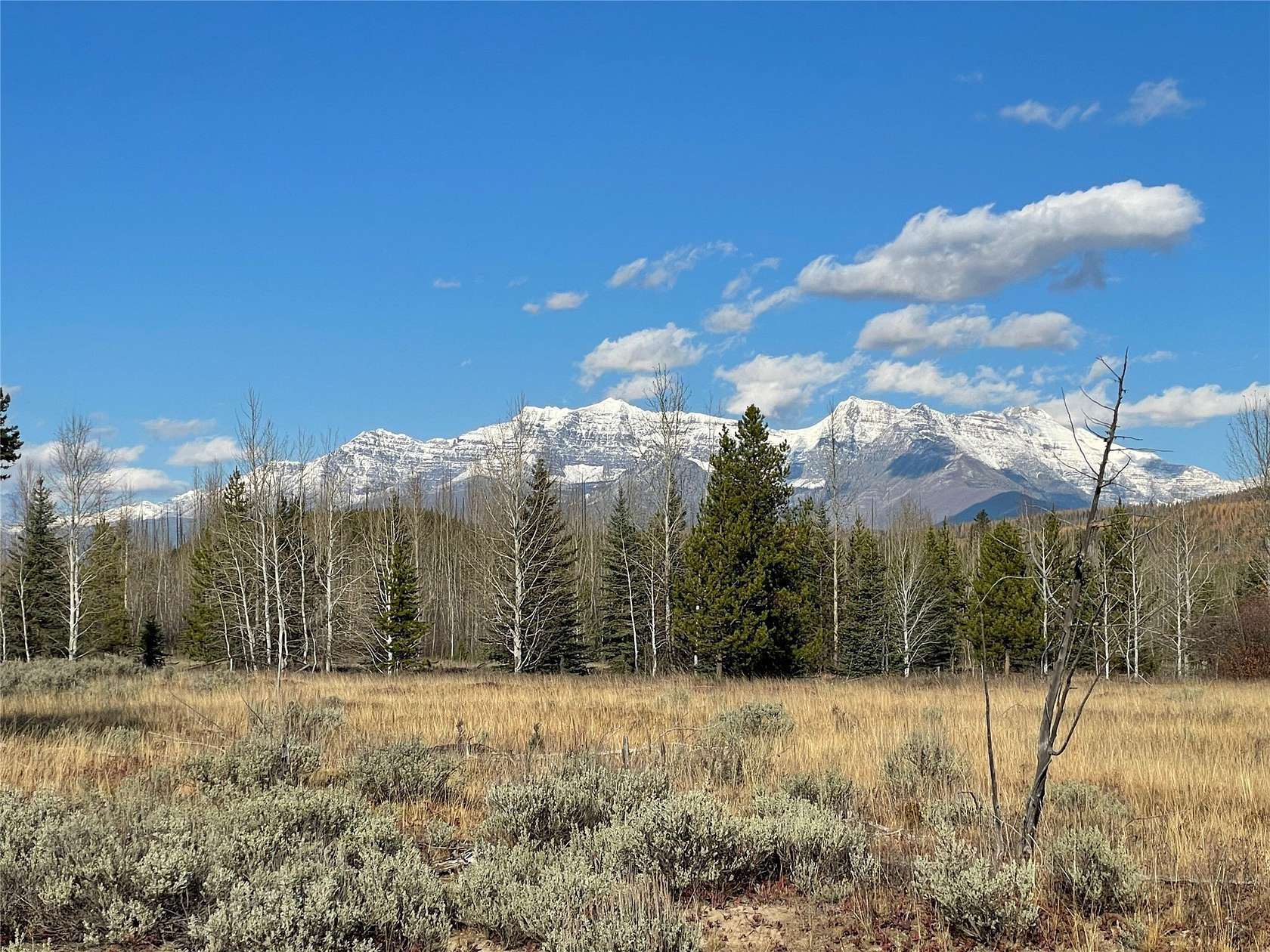 5 Acres of Residential Land for Sale in Polebridge, Montana