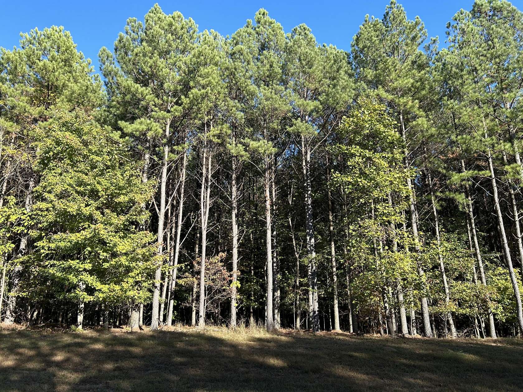0.82 Acres of Residential Land for Sale in Jasper, Tennessee