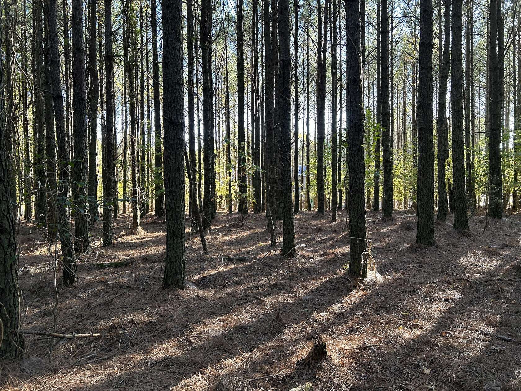 0.82 Acres of Residential Land for Sale in Jasper, Tennessee