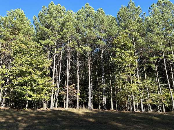 0.82 Acres of Residential Land for Sale in Jasper, Tennessee