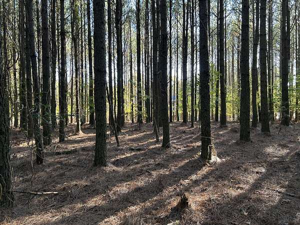 0.82 Acres of Residential Land for Sale in Jasper, Tennessee